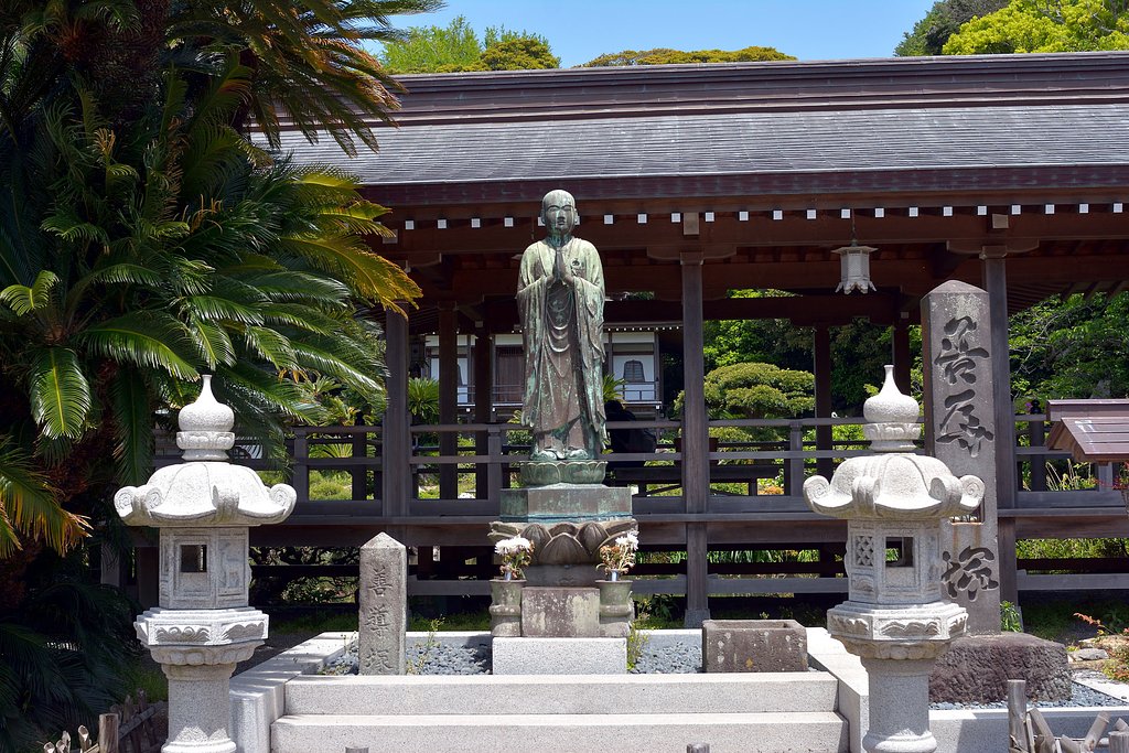 善導