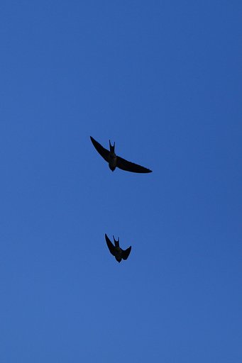 7月17日の写真