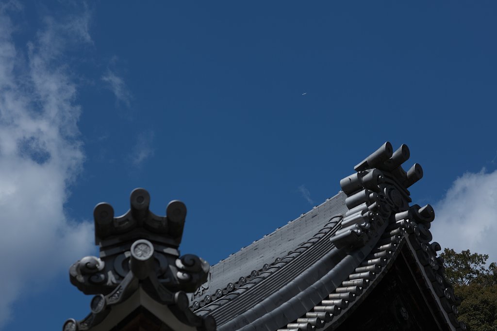 EF85mm F1.2LⅡ