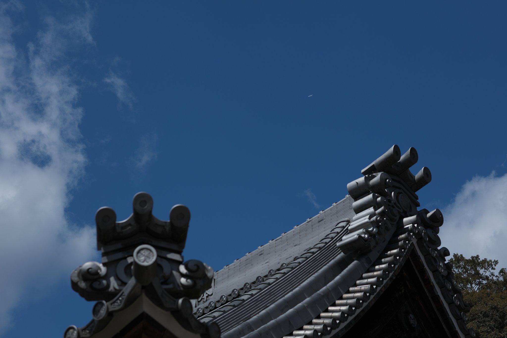 EF85mm F1.2LⅡ