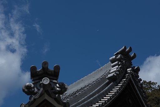 EF85mm F1.2LⅡ