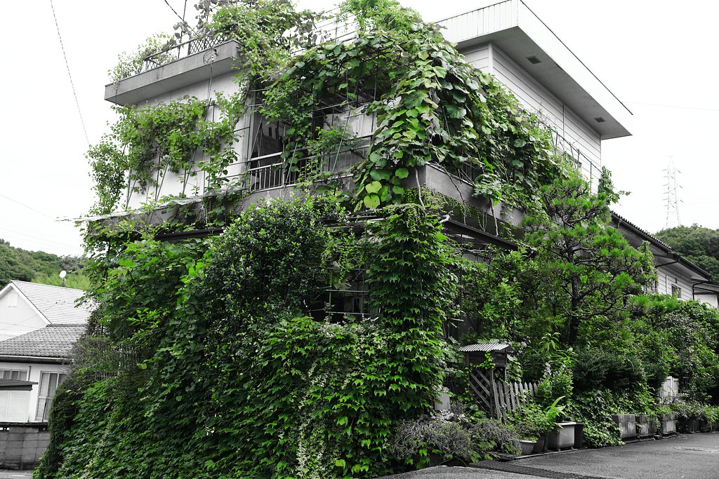 あれから４０年