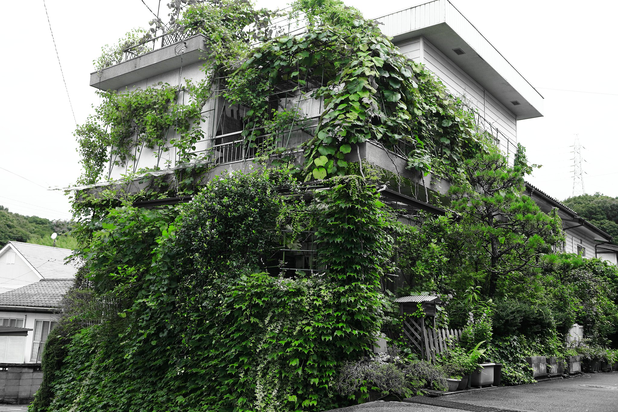 あれから４０年