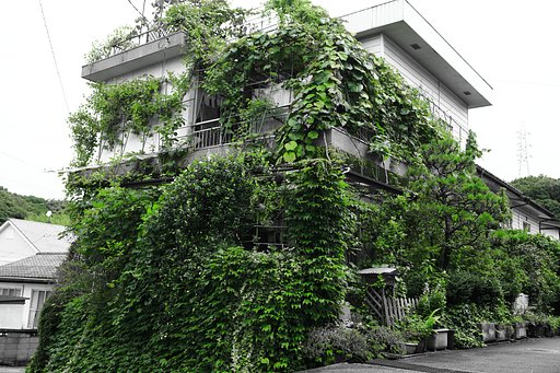 あれから４０年