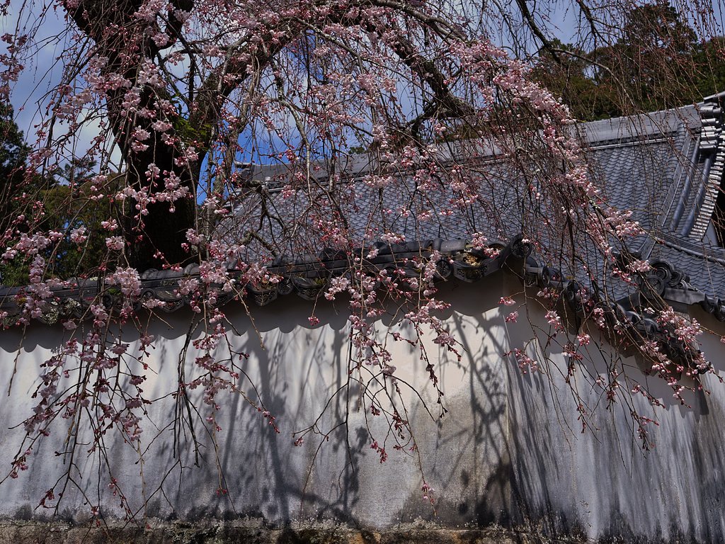 里山の寺院にて