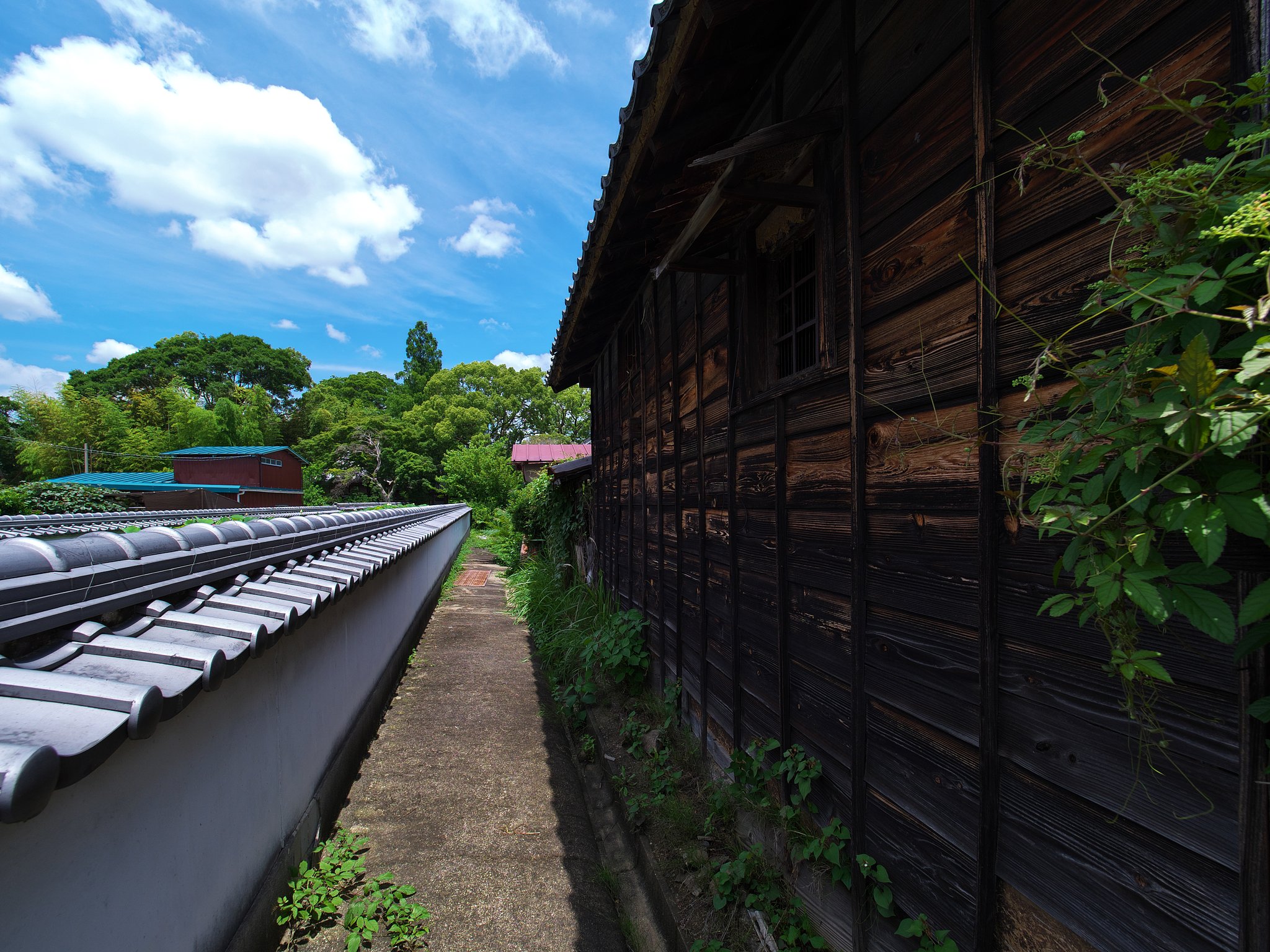 青空