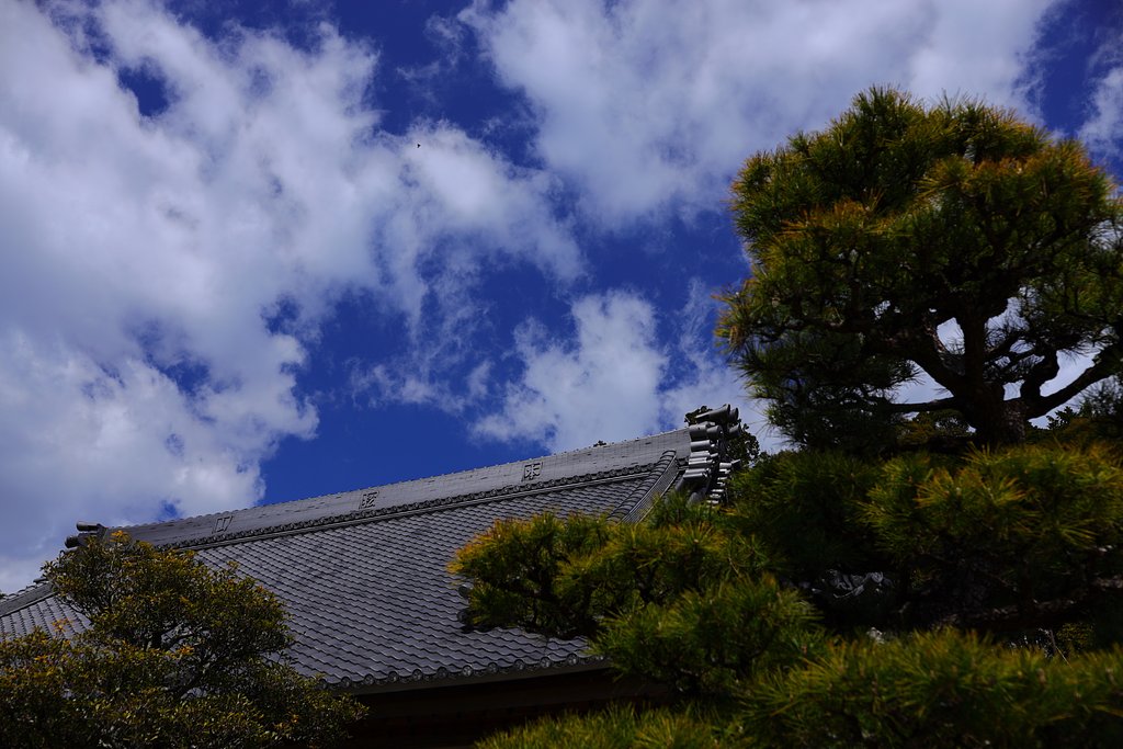 瓦と松と青空と