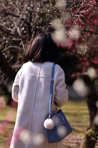 2月2日の写真