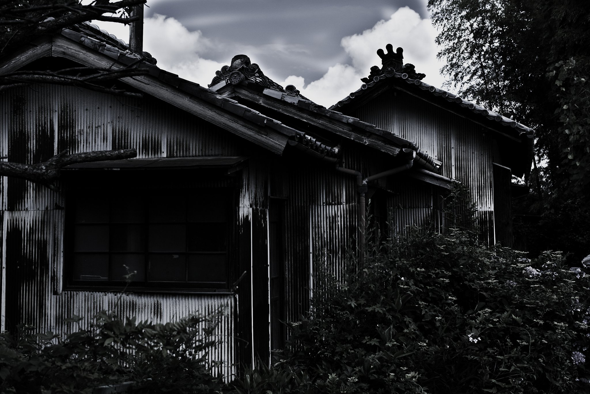 EF70-200mm F2.8L IS Ⅱ