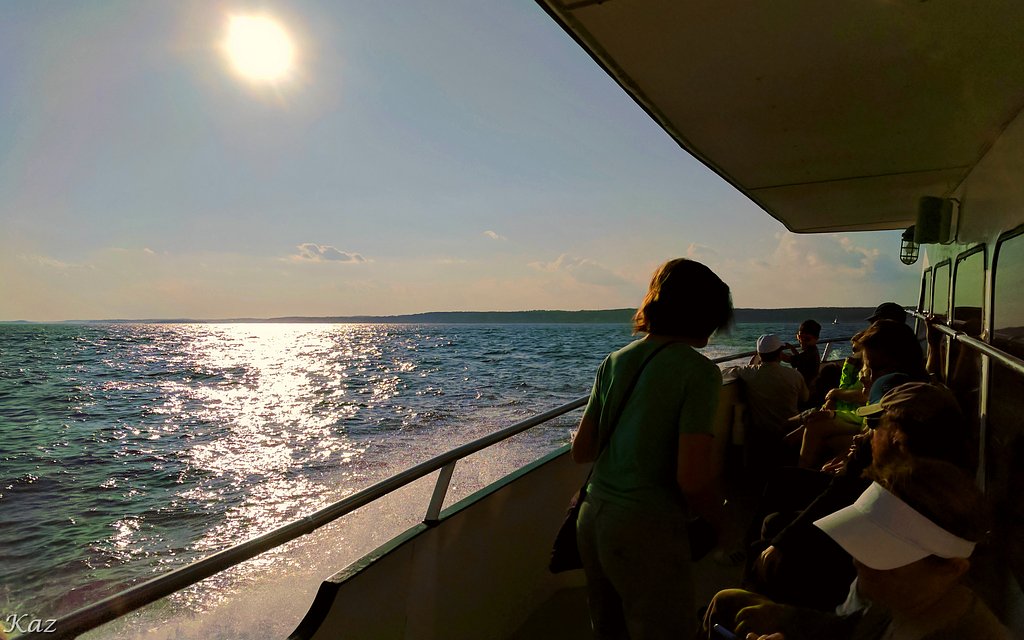 Whale Watcher