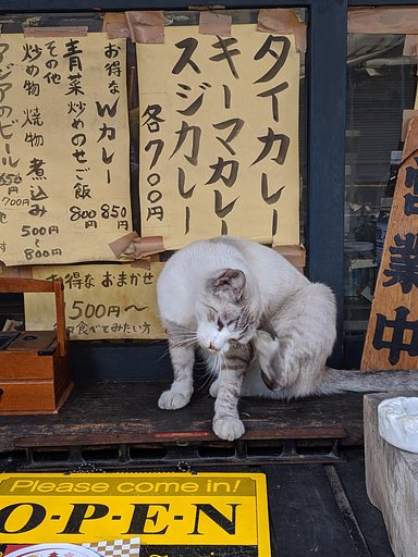 【リバイバル】尾道の猫