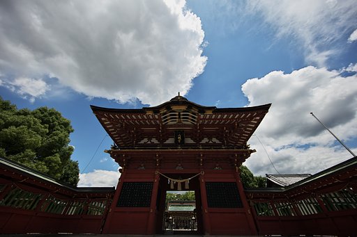 梅雨晴１
