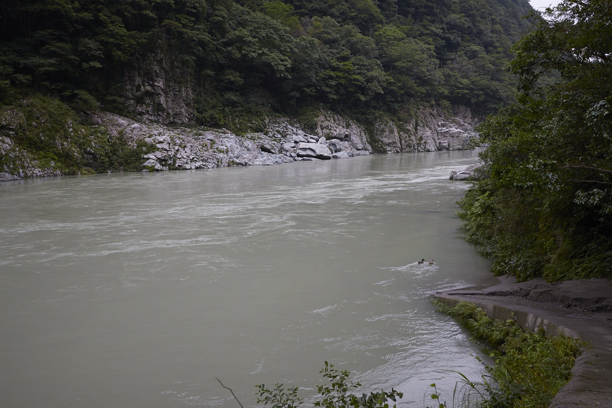 吉野川