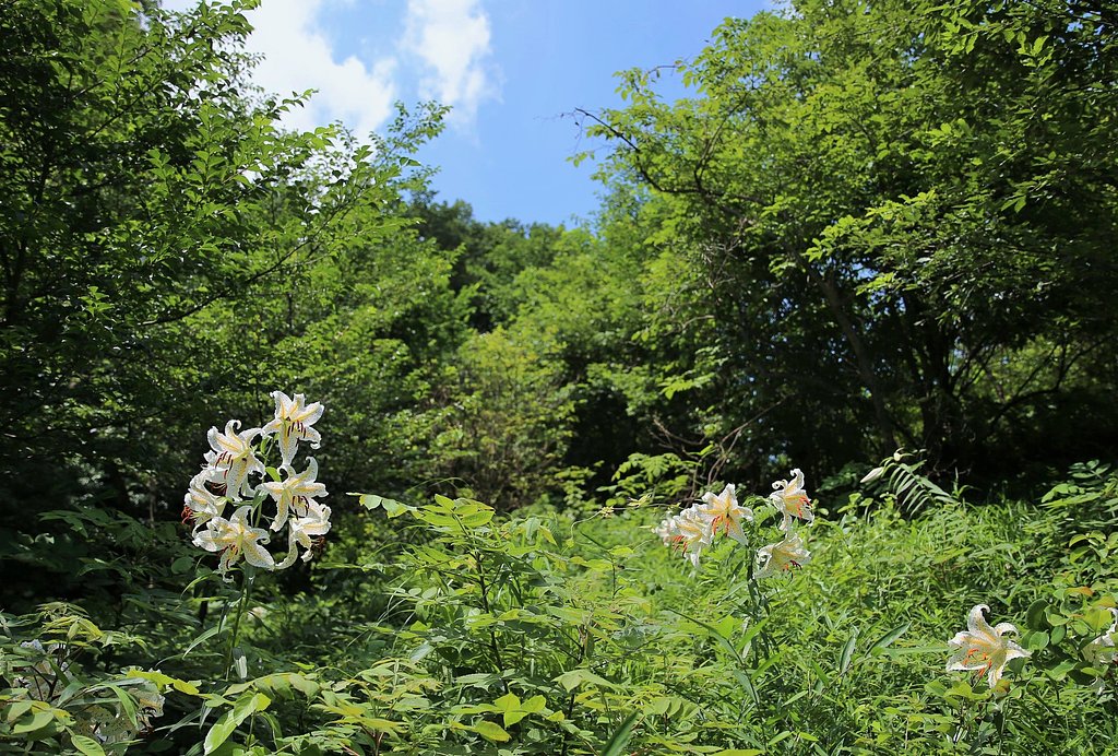 久々の夏日