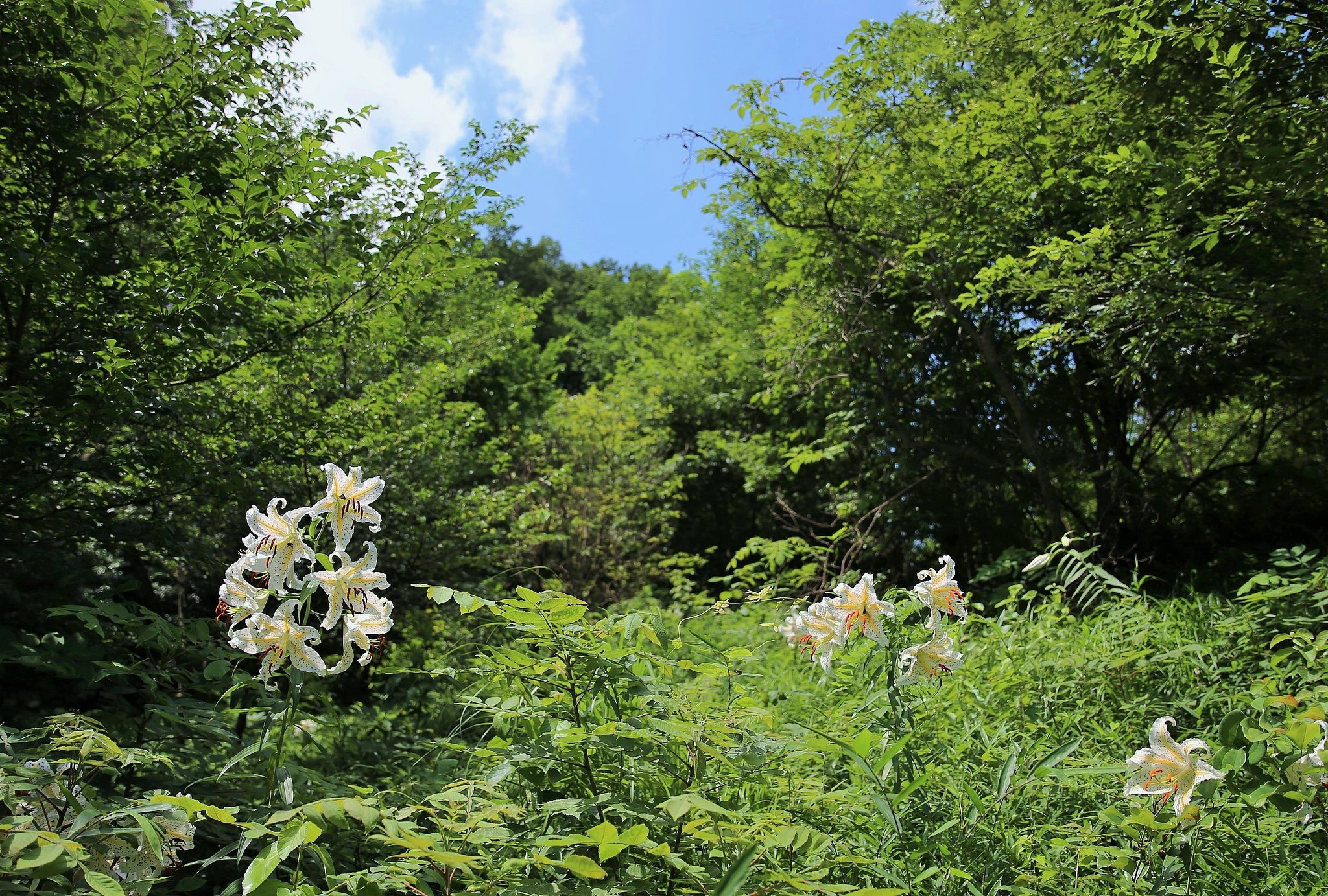 久々の夏日
