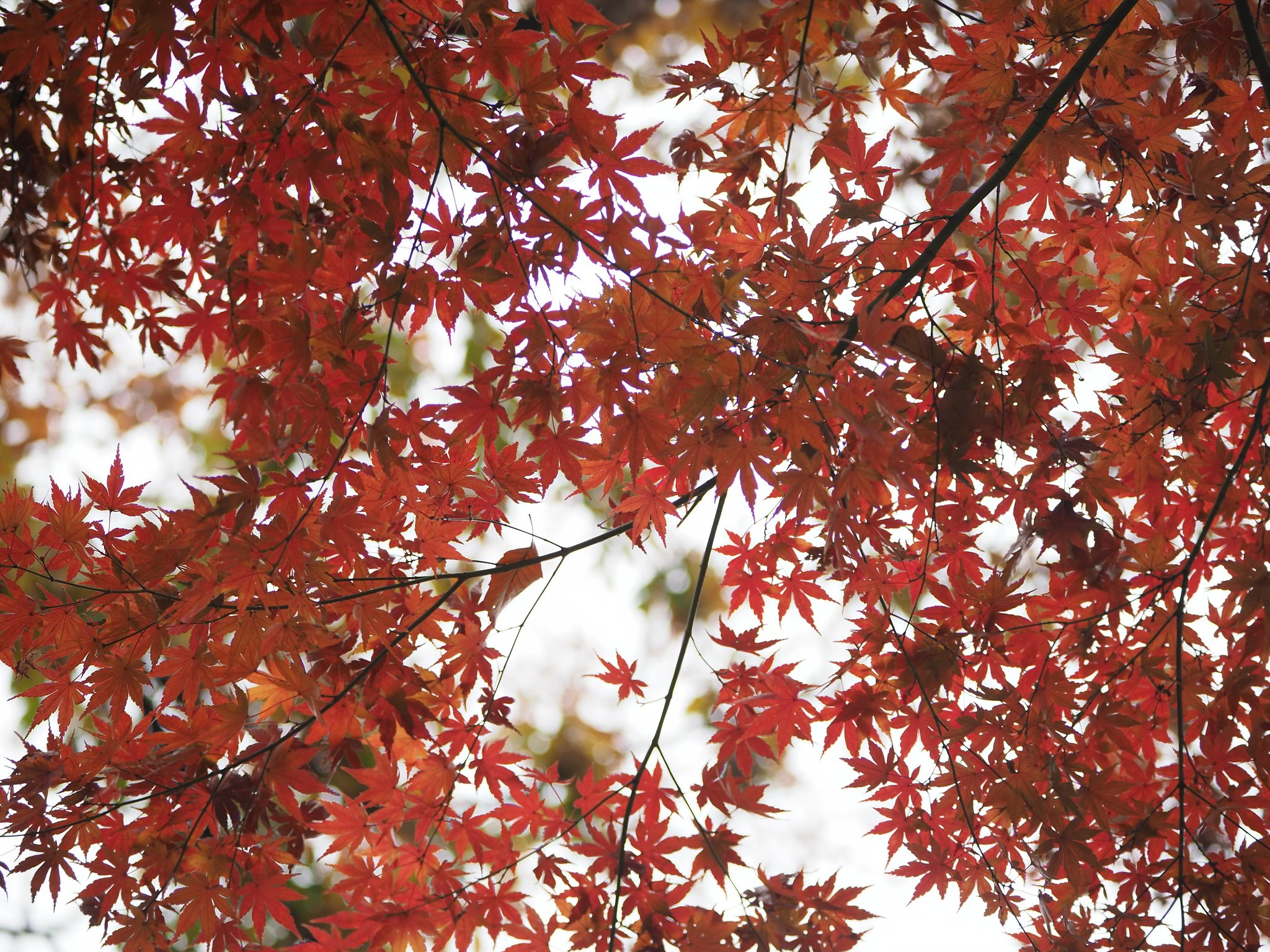 終幕２