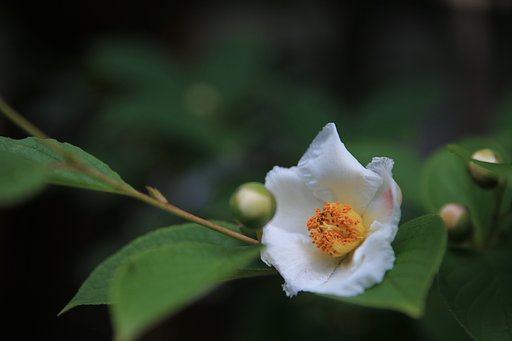 6月6日の写真
