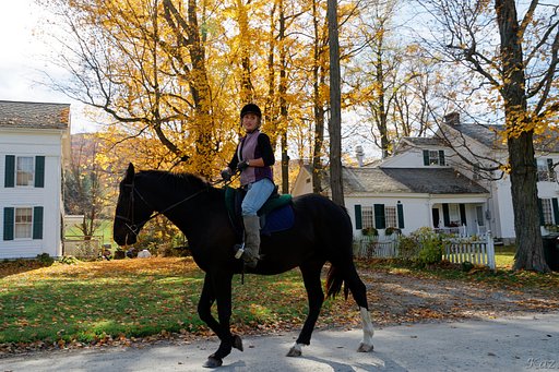Equestrian 2