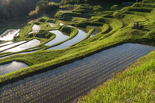 変わらない景色