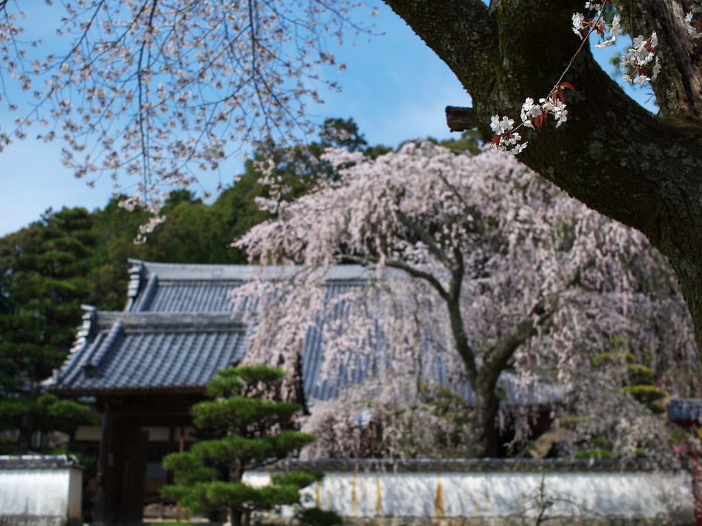高月院