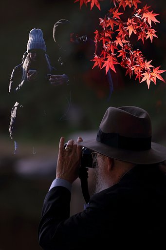 11月28日の写真