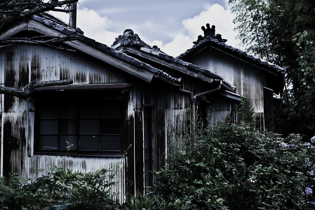 魅せられて６