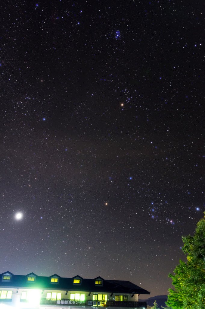 寝る前に冬の星座を