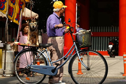 太郎の散歩
