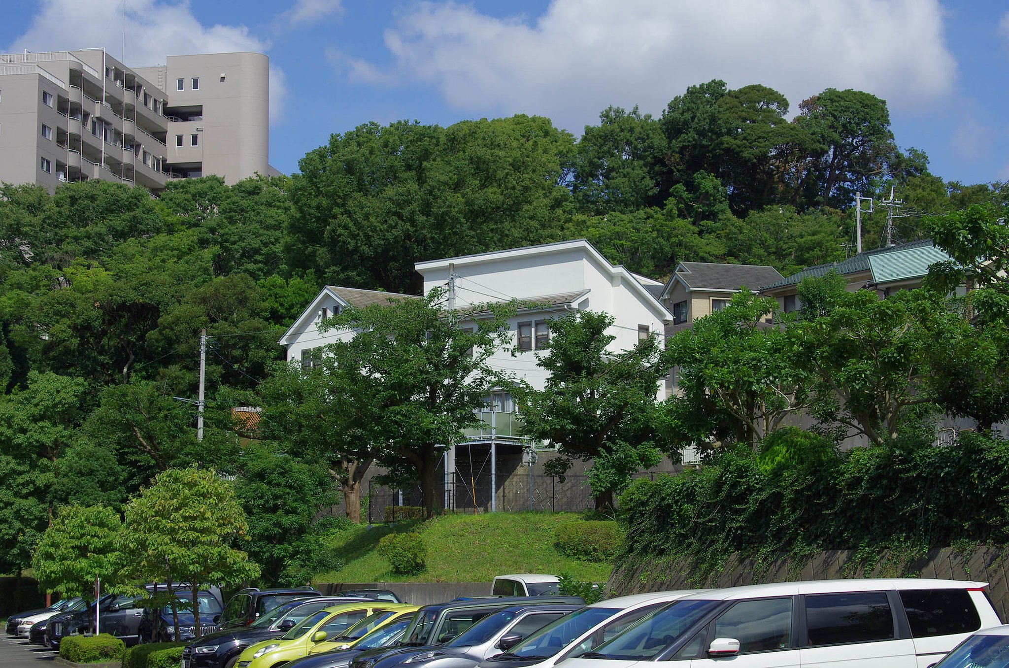 PENTAXの緑