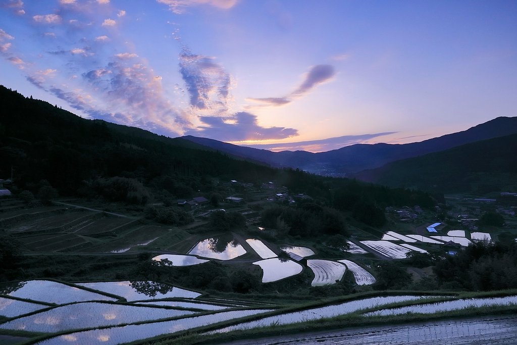 棚田の朝