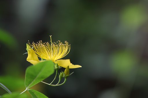 6月6日の写真