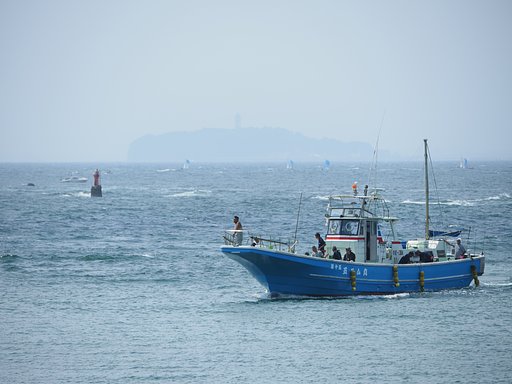 海に繰り出す