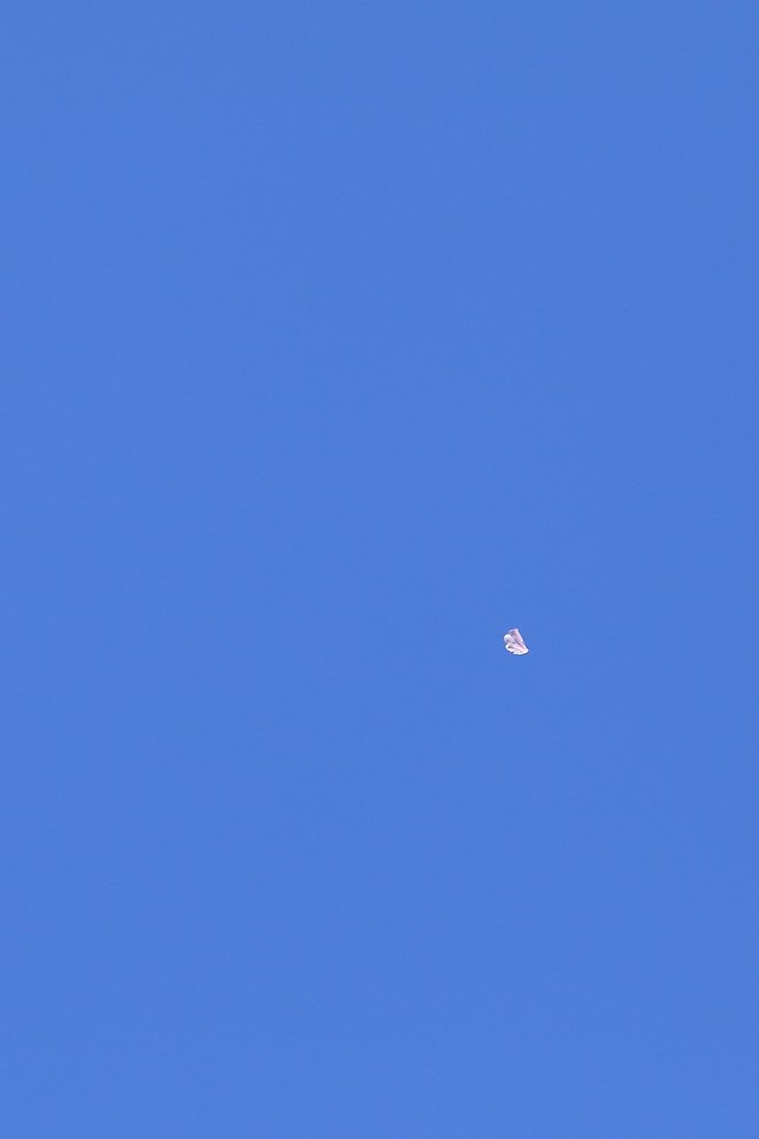 風さそふ 花よりもなほ 我はまた