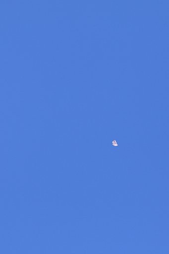 風さそふ 花よりもなほ 我はまた