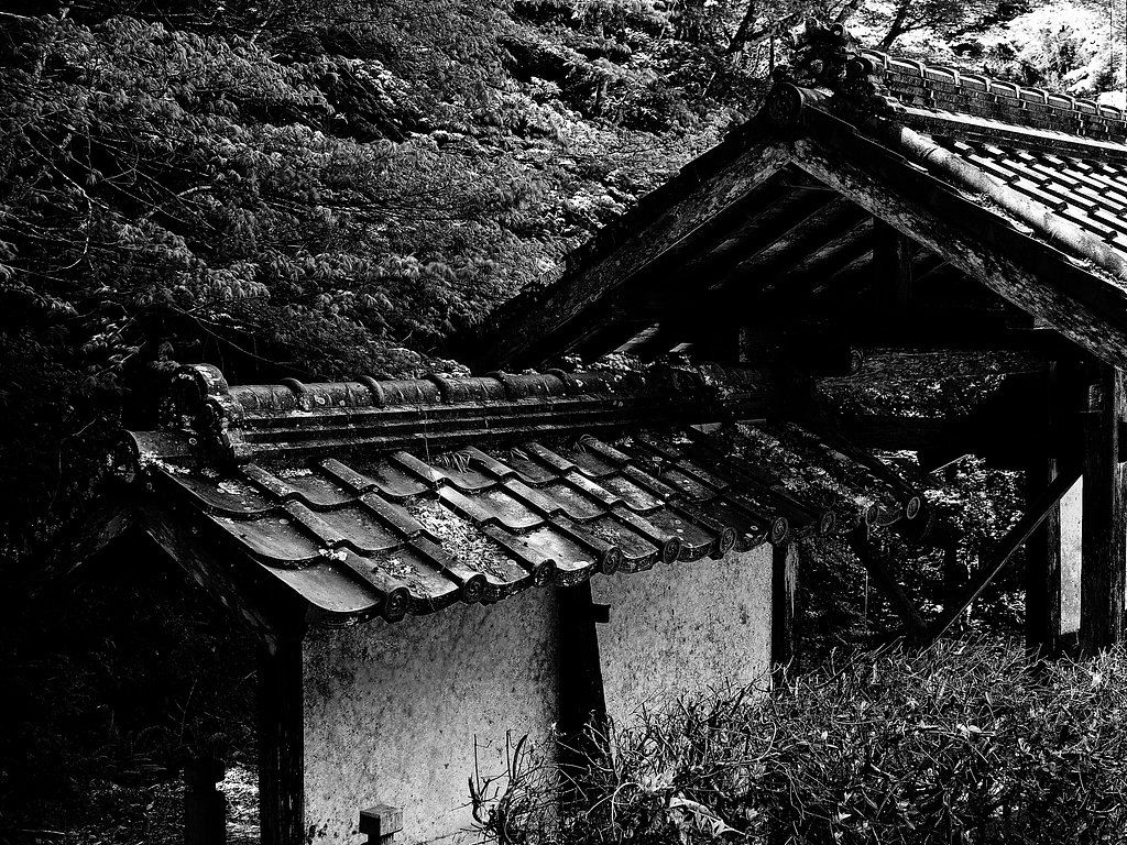 棟門