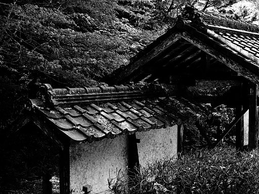 棟門