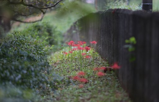 秋分の日