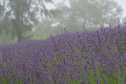 濃霧の幌見峠でパートⅡ