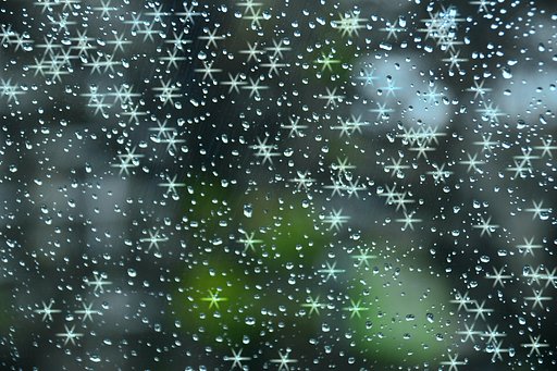 雪の華