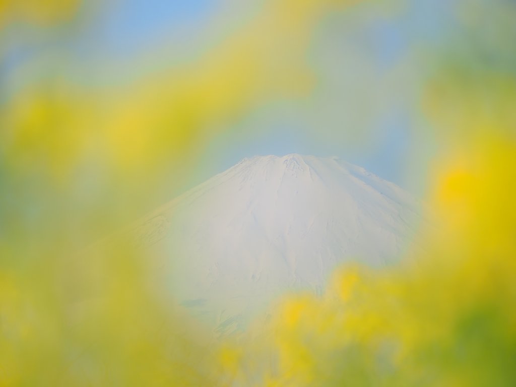 春が見えた日