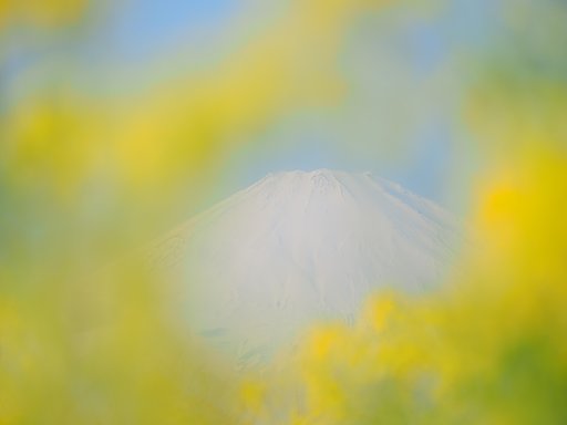 春が見えた日