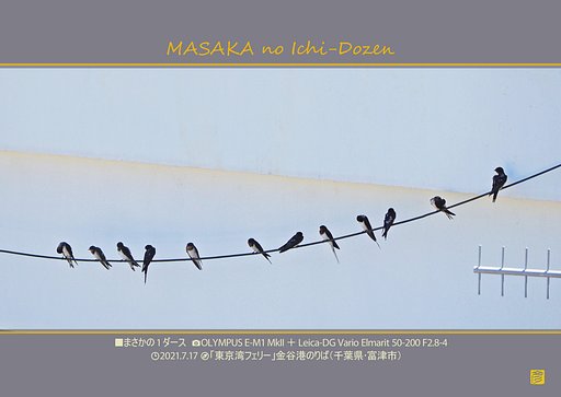 まさかの１ダース