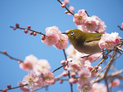 ハイ、ポーズ。