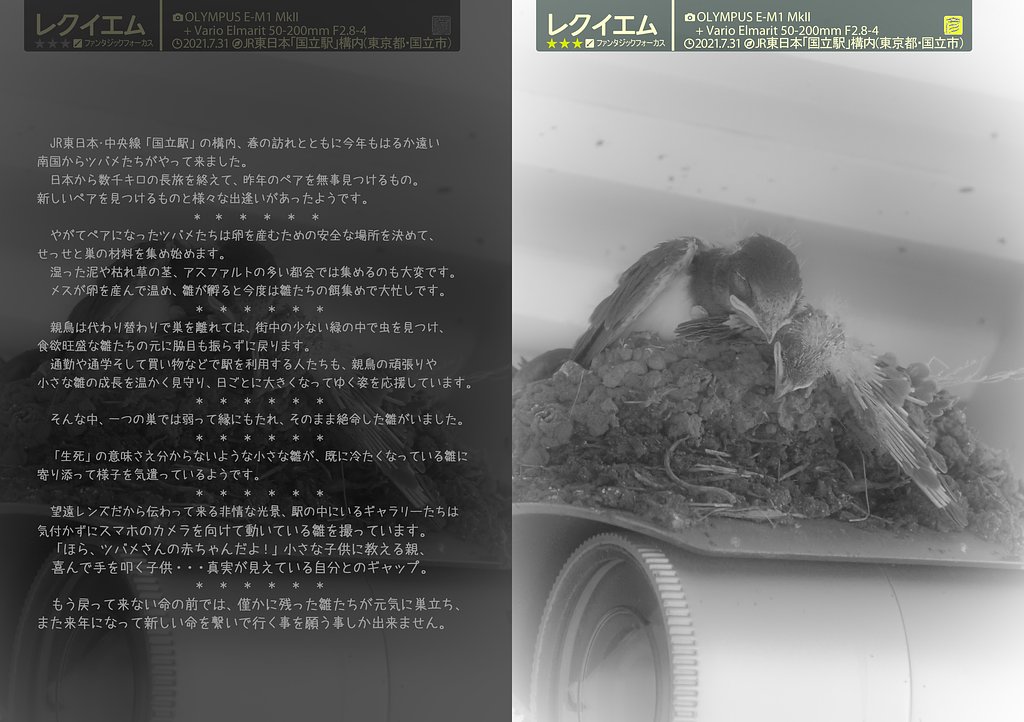 レクイエム