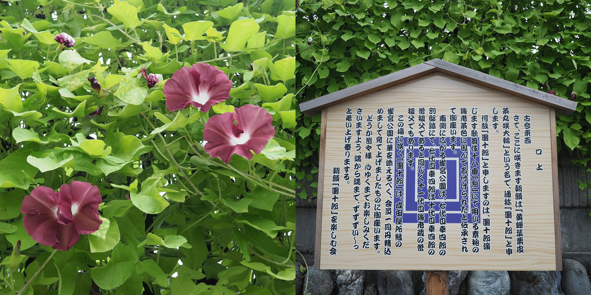 團十郎