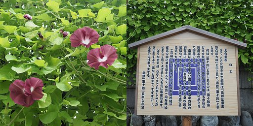 團十郎