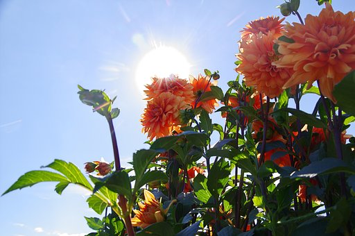 夏の終わりの太陽