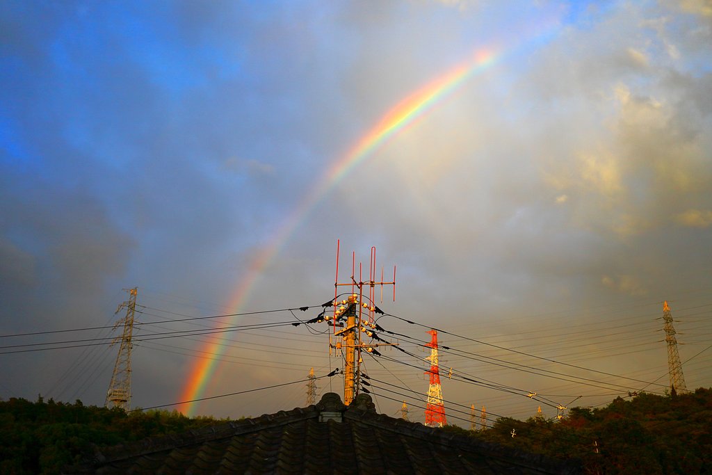 願いが叶ますように