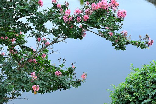 湖面の景色