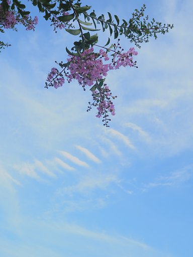 空気が変わった？